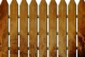 Timber fencing