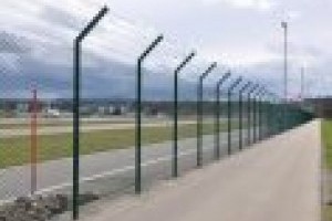 Security fencing